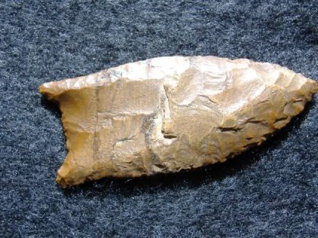 Double fluted Clovis