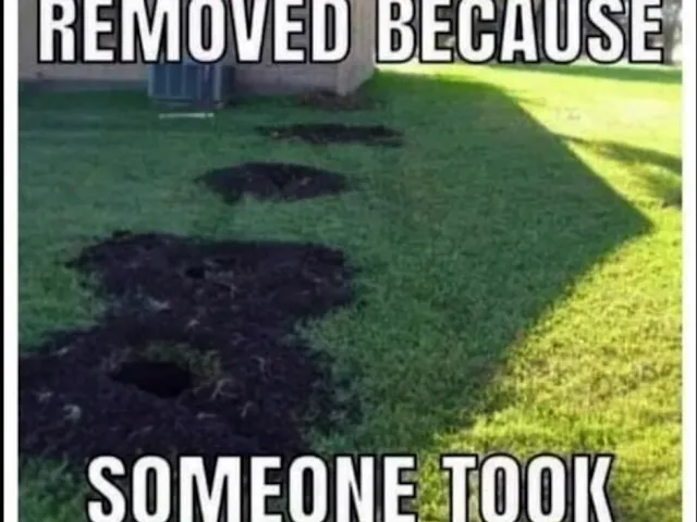 Posts were removed because someone took a fence.