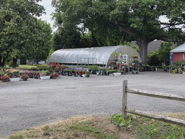 The greenhouse 