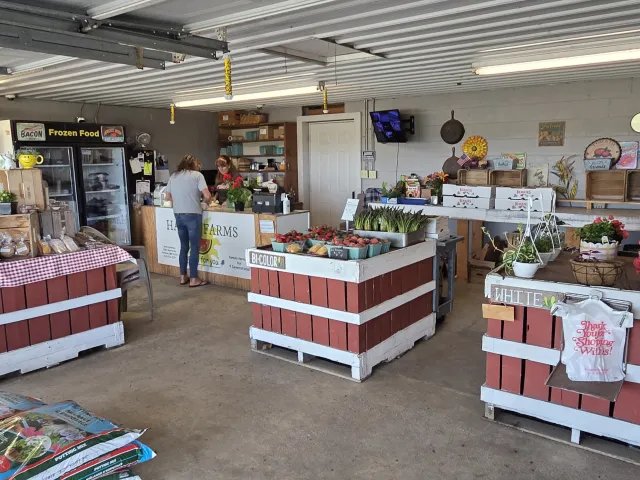 Beginning to fill with produce