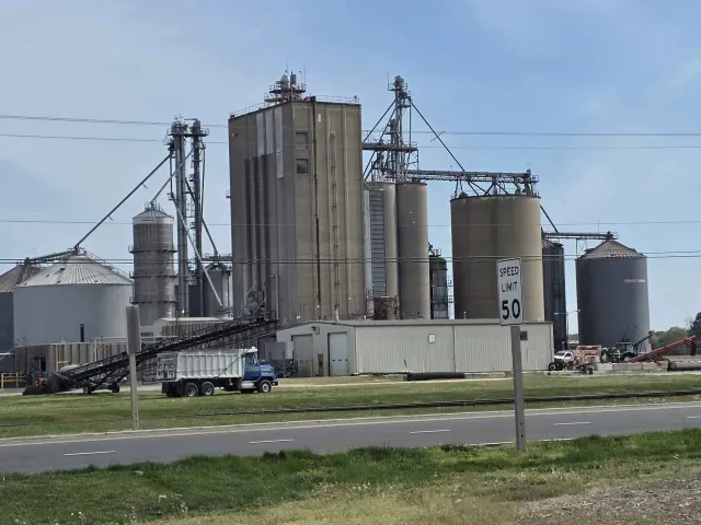 Grain silos and agricultural handling structures beside the road near Hurlock in Dorchester County, Maryland.