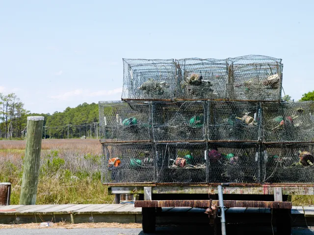Crab pots ready to bring in the days living.